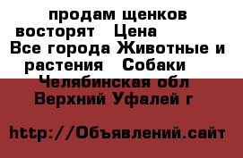 продам щенков восторят › Цена ­ 7 000 - Все города Животные и растения » Собаки   . Челябинская обл.,Верхний Уфалей г.